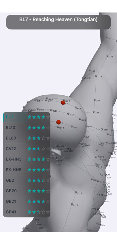 BL7 Reaching Heaven acupressure point on the scalp in Massage Map 3D