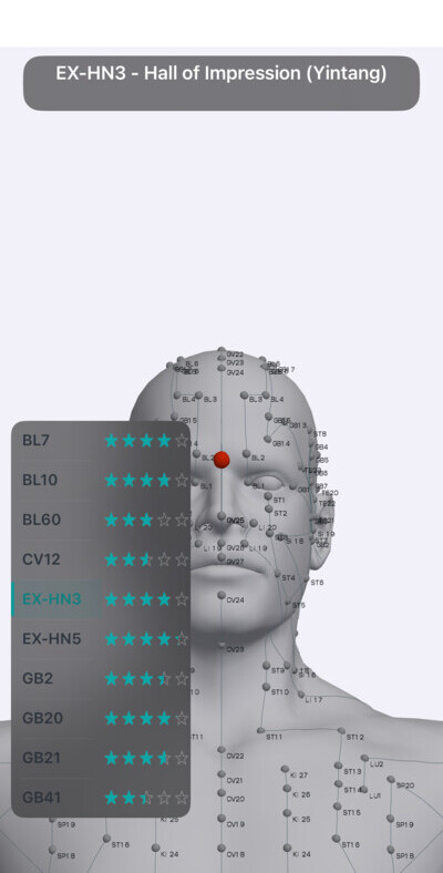 EX-HN3 Hall of Impression acupressure point between the eyebrows in Massage Map 3D
