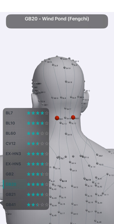 GB20 Wind Pond acupressure point at the base of the skull in Massage Map 3D