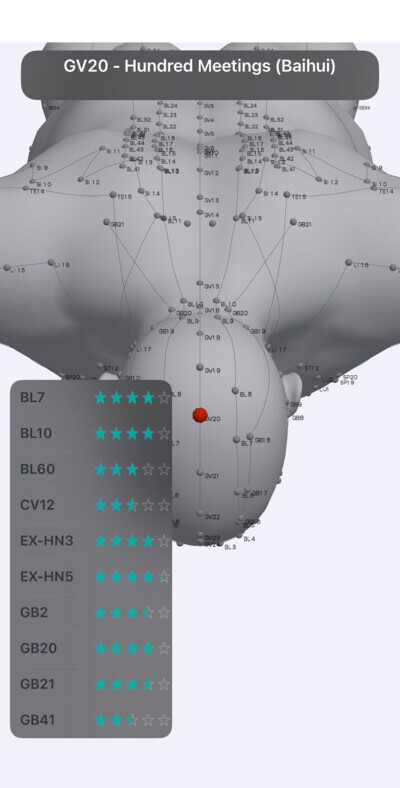 GV20 Hundred Meetings acupressure point on top of the head in Massage Map 3D
