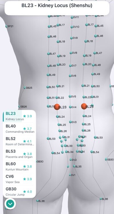 BL23 Kidney Locus acupressure point shown on 3D body model in Massage Map 3D app
