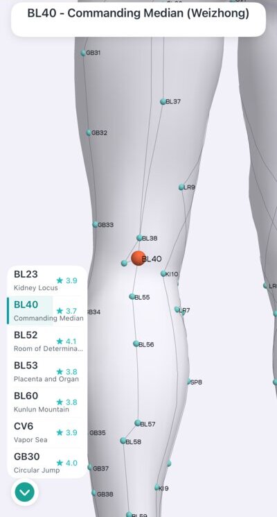 BL40 Commanding Median acupressure point behind the knee in Massage Map 3D
