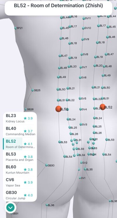 BL52 Room of Determination acupressure point on the lower back in Massage Map 3D