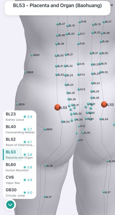 BL53 Placenta and Organ acupressure point on the sacrum in Massage Map 3D