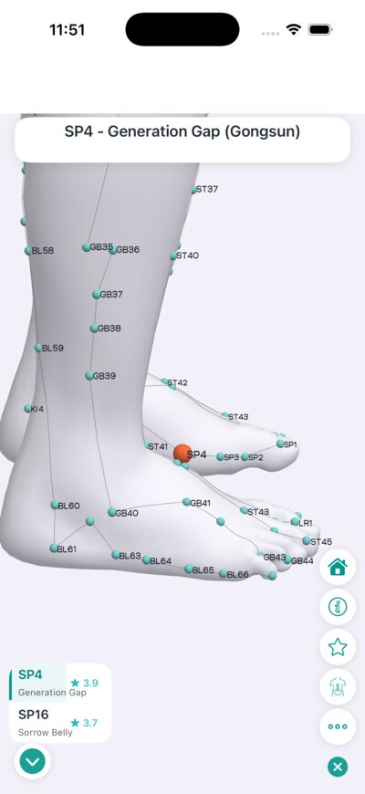 Massage Map 3D — foot and ankle acupressure points on 3D model